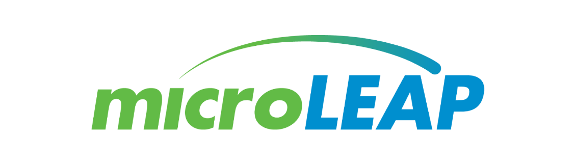 microleap-02
